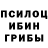 Псилоцибиновые грибы Psilocybine cubensis ManchesterUnited2003