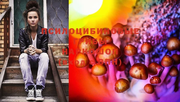 mix Алексин