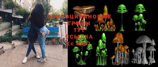 прущие крисы Алексеевка