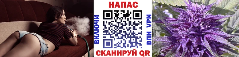 Бошки Шишки гибрид  Купить где  Саянск 